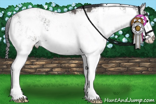 Horse Color:Grullo Sabino 