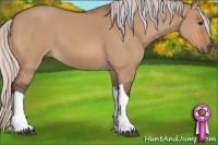 Horse Color:Silver Bay Dun Tobiano 