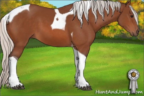 Horse Color:Silver Bay Tobiano 