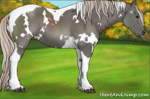 Horse Color:White Spotted Silver Black Tobiano 