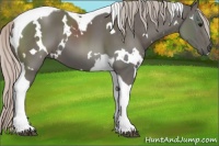 Horse Color:White Spotted Silver Black Tobiano