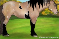 Horse Color:White Spotted Sable Champagne Tobiano 