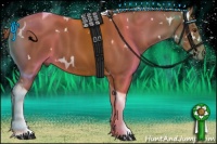 Horse Color:White Spotted Chestnut Tobiano 