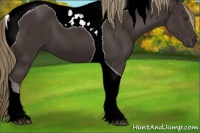 Horse Color:Liver Chestnut Tobiano 