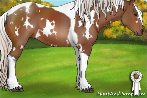 Horse Color:White Spotted Silver Bay Tobiano 