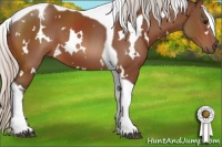 Horse Color:White Spotted Silver Bay Tobiano 