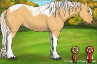Horse Color:Silver Buckskin Dun Tobiano 