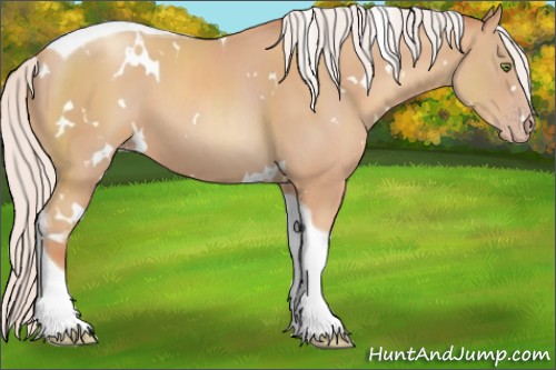 Horse Color:White Spotted Silver Classic Champagne Tobiano 
