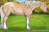 Horse Color:White Spotted Silver Classic Champagne Tobiano