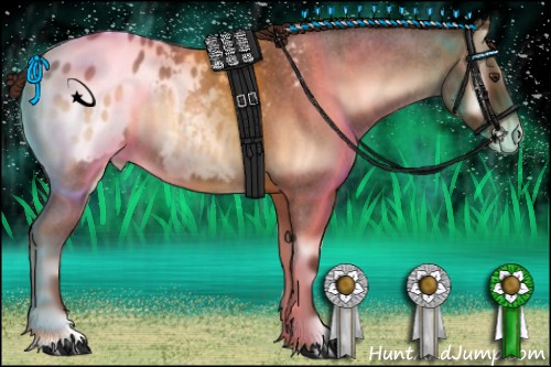 Horse Color:Red Onyx Roan Appaloosa 