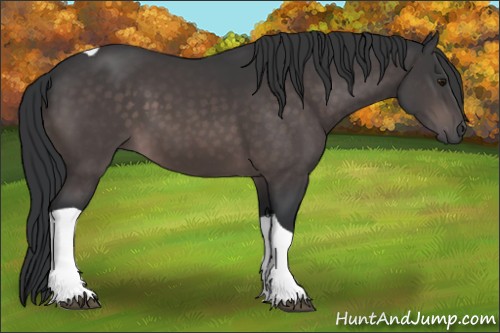 Horse Color:Platinum Brown Tobiano 
