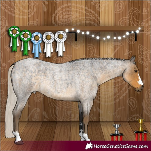 Horse Color:Silver Smoky Blue Roan 