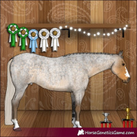 Horse Color:Silver Smoky Blue Roan 