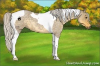 Horse Color:Silver Smoky Grullo Roan Tobiano 