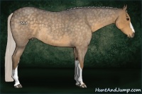 Horse Color:Silver Smoky Blue Roan