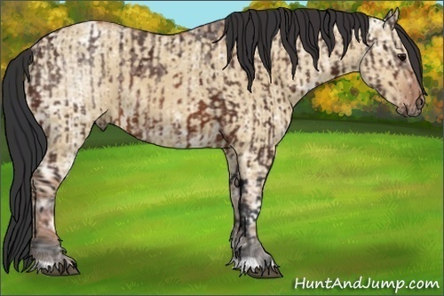 Horse Color:Bay Ice and Bay Ice Dun