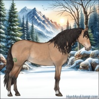 Horse Color:Bay Dun Rabicano 