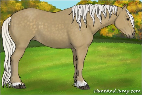 Horse Color:Silver Smoky Black