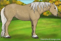 Horse Color:Silver Smoky Black 
