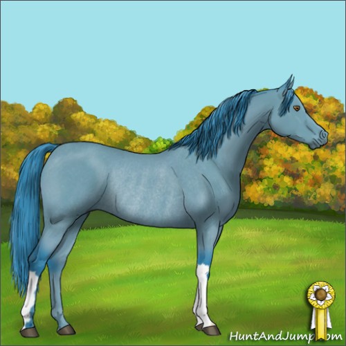 Horse Color:Watercolor Black Chinchilla Rabicano