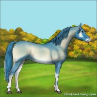 Horse Color:Watercolor Smoky Blue Onyx Chinchilla Rabicano 