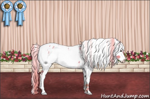 Horse Color:Watercolor White Spotted Chocolate Palomino Blanket 