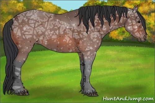 Horse Color:Bay Ice