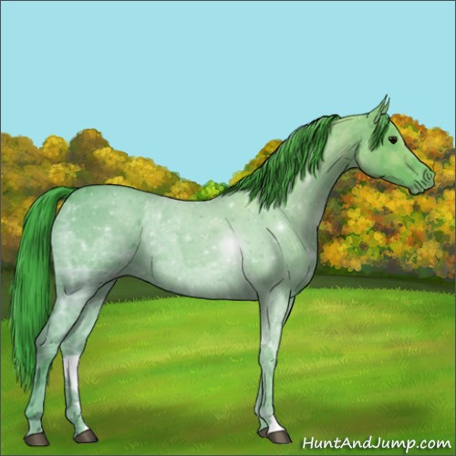 Horse Color:Watercolor Blue Ice Roan 