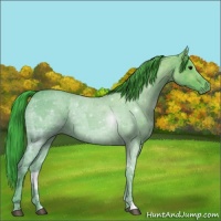 Horse Color:Watercolor Blue Ice Roan 