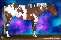 Horse Color:White Spotted Bay Roan 