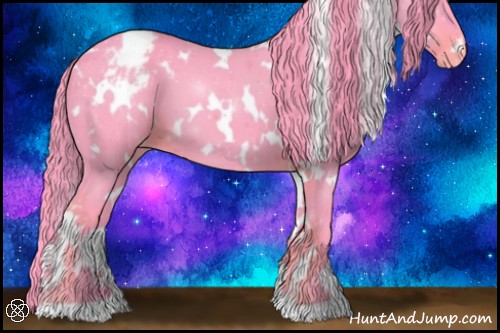 Horse Color:Watercolor White Spotted Liver Chestnut Appaloosa 