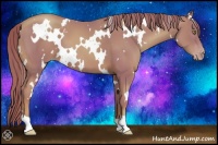 Horse Color:Watercolor White Spotted Gold Champagne 