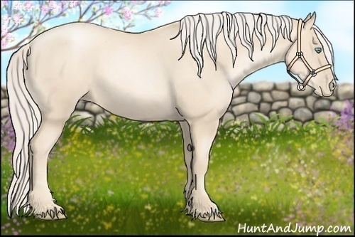 Horse Color:Gold Cream Champagne Pearl