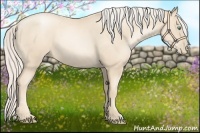 Horse Color:Gold Cream Champagne Pearl 