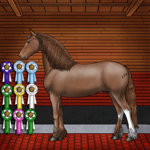 Horse Color:Red Roan 