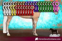 Horse Color:White Spotted Silver Amber Champagne 