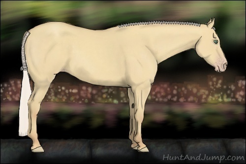 Horse Color:Silver Classic Cream Champagne Dun 