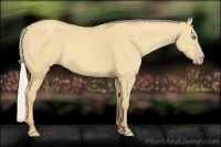 Horse Color:Silver Classic Cream Champagne Dun 
