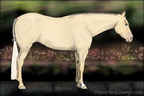 Horse Color:Gold Cream Champagne Roan Dun
