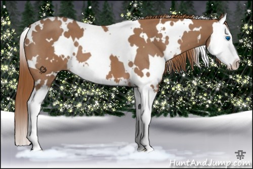 Horse Color:White Spotted Red Roan Splash 