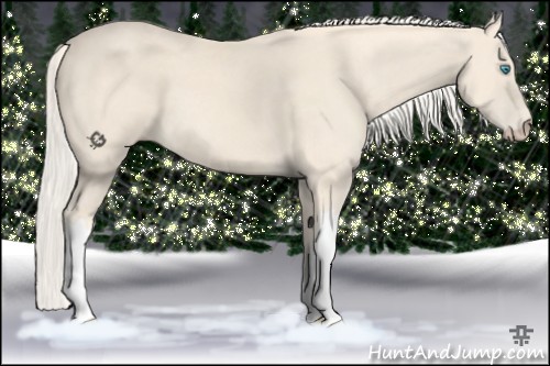 Horse Color:Cremello 