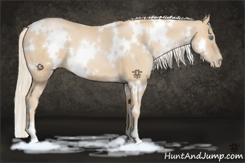 Horse Color:White Spotted Palomino Pearl