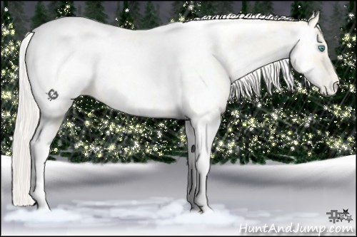 Horse Color:White Spotted Gold Cream Champagne Pearl Tobiano Appaloosa 