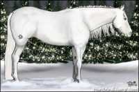 Horse Color:White Spotted Gold Cream Champagne Pearl Tobiano Appaloosa 