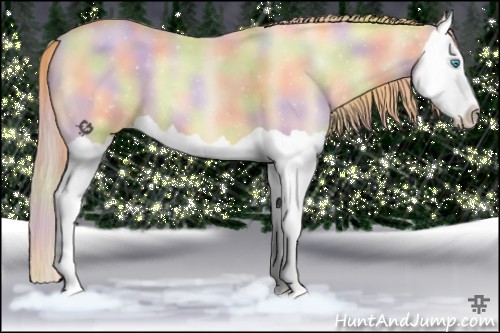 Horse Color:Nacre Buckskin Pearl Splash 