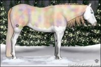 Horse Color:Nacre Buckskin Pearl Splash 