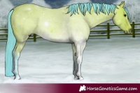 Horse Color:Watercolor Bay 