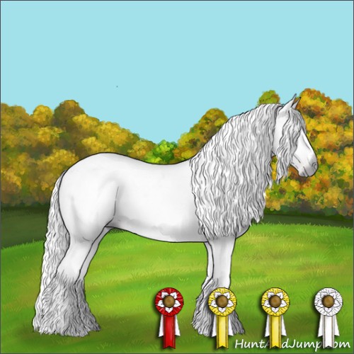 Horse Color:Gray White Spotted Liver Chestnut Tobiano 