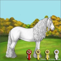 Horse Color:Gray White Spotted Liver Chestnut Tobiano 