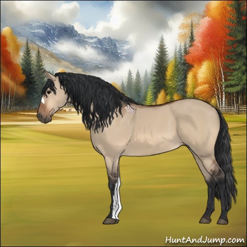 Horse Color:Bay Dun